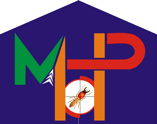 DIỆT MỐI TẠI CẦN THƠ
